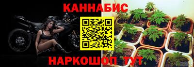 spice Пугачёв