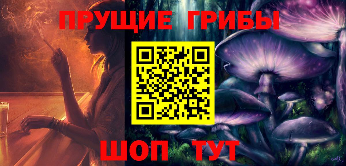 Галлюциногенные грибы GOLDEN TEACHER  закладка  Ростов-на-Дону  Вход с VPN 